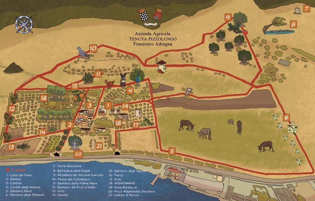 Azienda Agrituristica Tenuta Pizzolungo เอริเช ภายนอก รูปภาพ