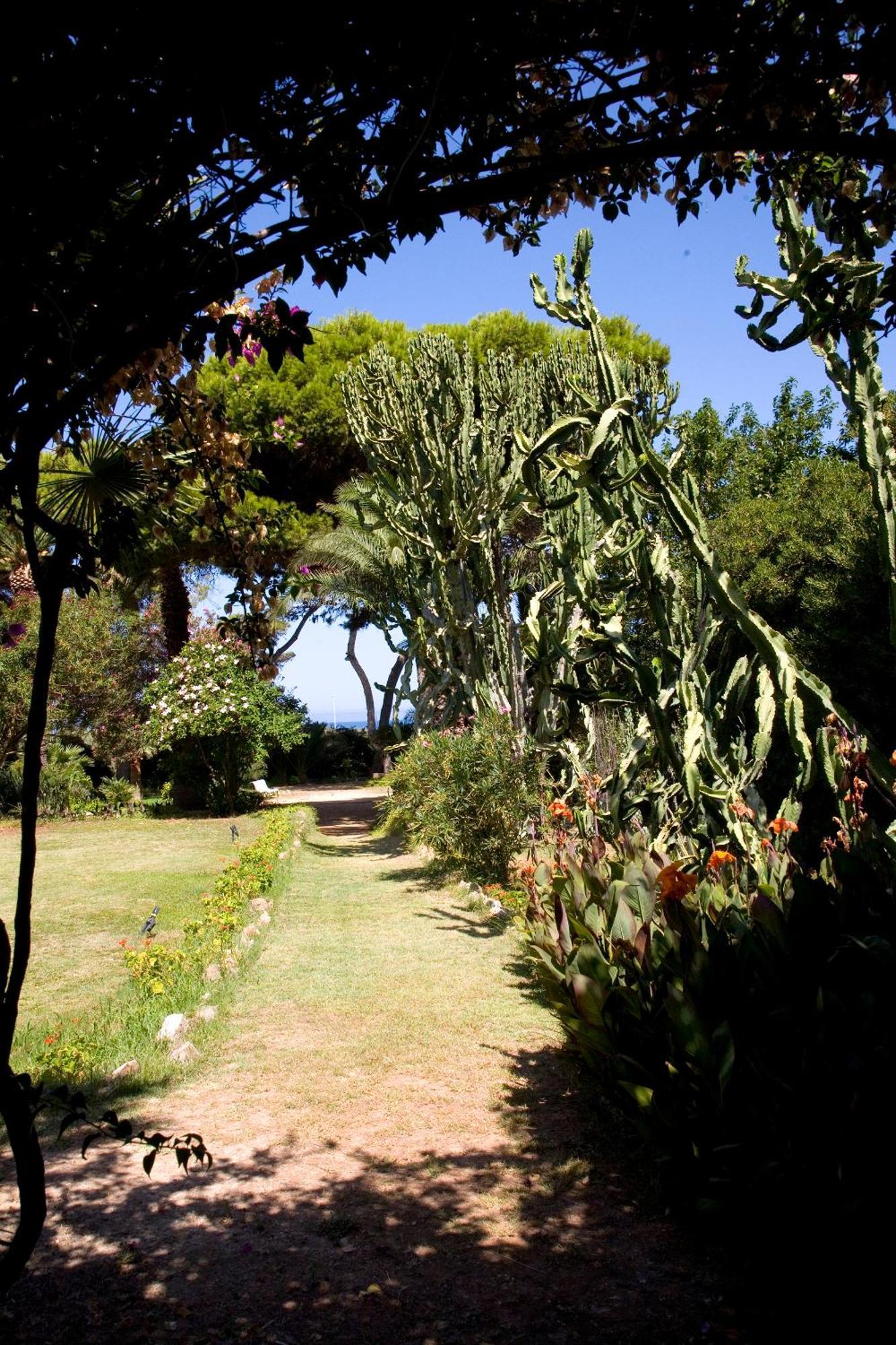 Azienda Agrituristica Tenuta Pizzolungo เอริเช ภายนอก รูปภาพ