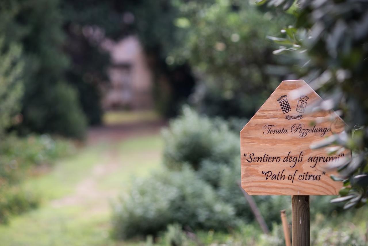 Azienda Agrituristica Tenuta Pizzolungo เอริเช ภายนอก รูปภาพ