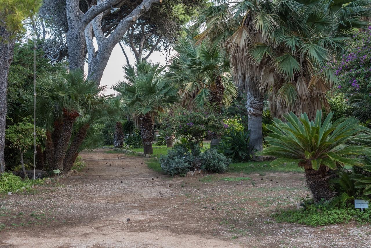 Azienda Agrituristica Tenuta Pizzolungo เอริเช ภายนอก รูปภาพ