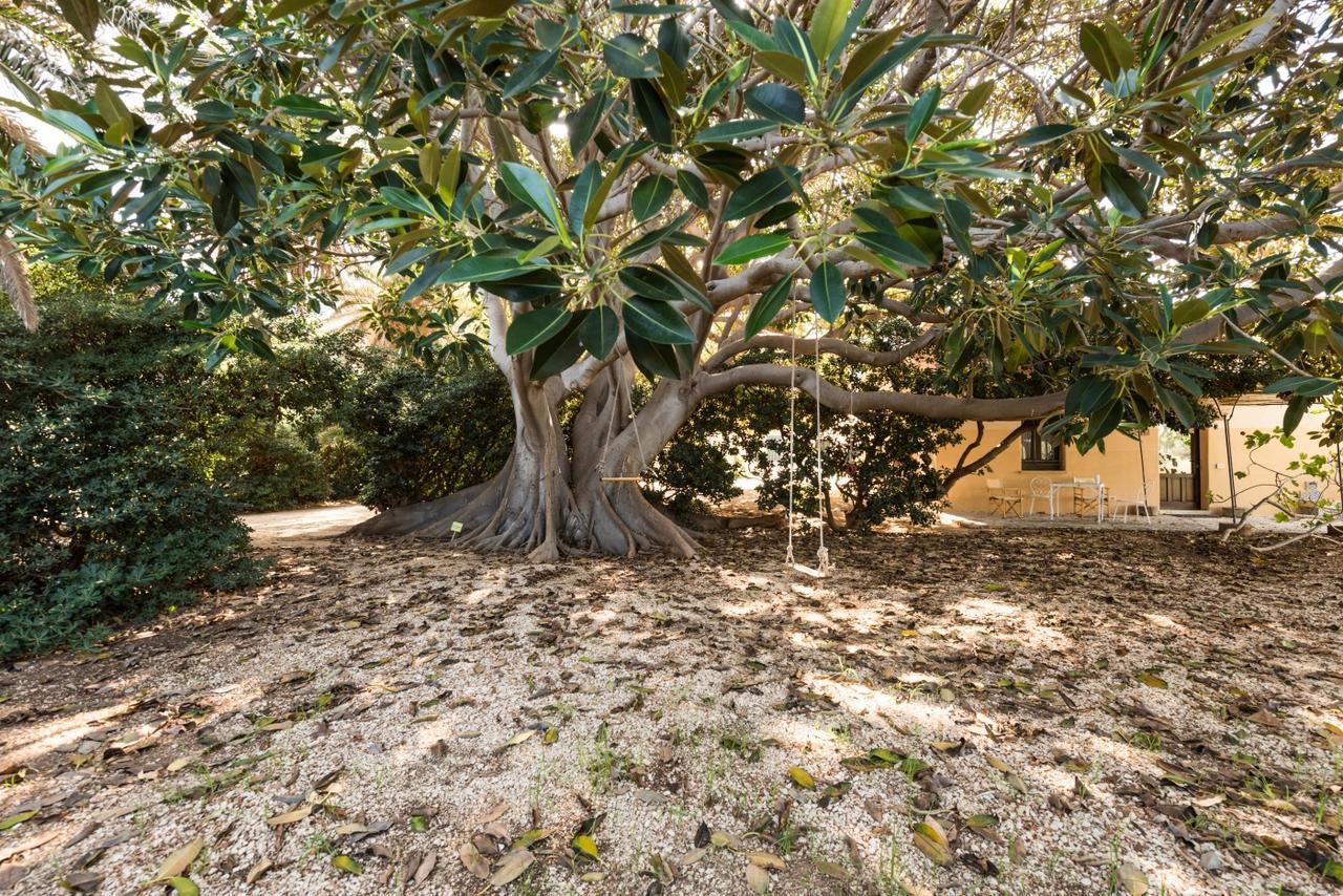 Azienda Agrituristica Tenuta Pizzolungo เอริเช ภายนอก รูปภาพ