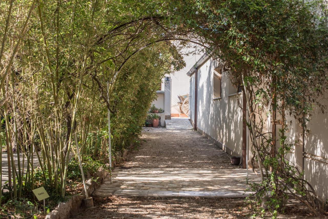 Azienda Agrituristica Tenuta Pizzolungo เอริเช ภายนอก รูปภาพ